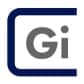 Gi Group