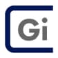 Gi Group